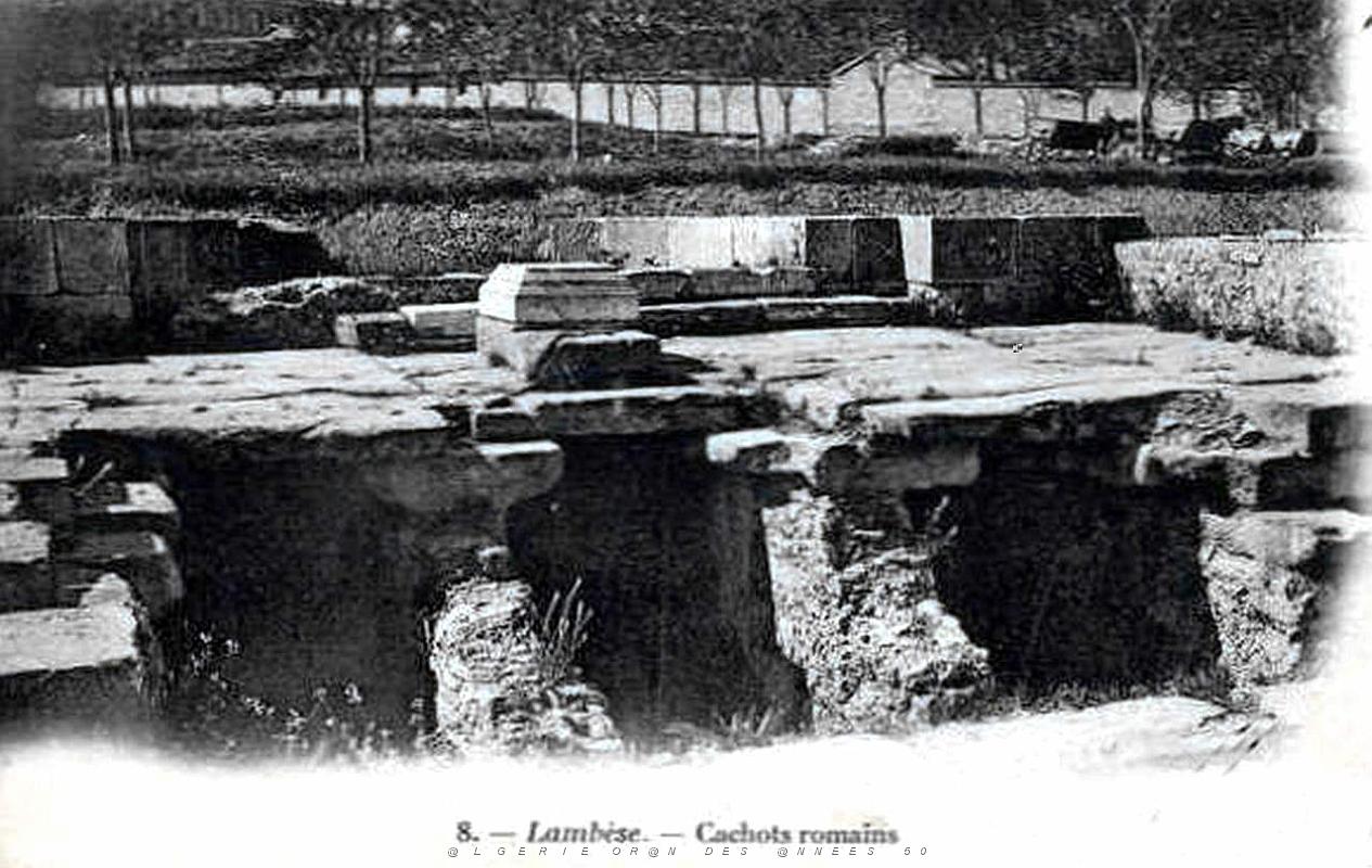 ALGERIE-RUINES ROMAINES DE LAMBESE (45).jpg